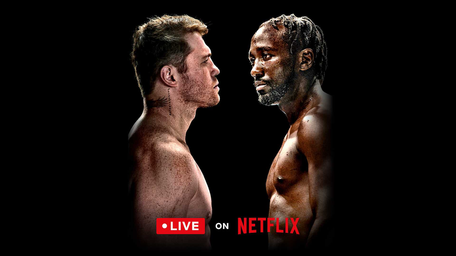 Canelo Alvarez Terence Crawford Boxing Match