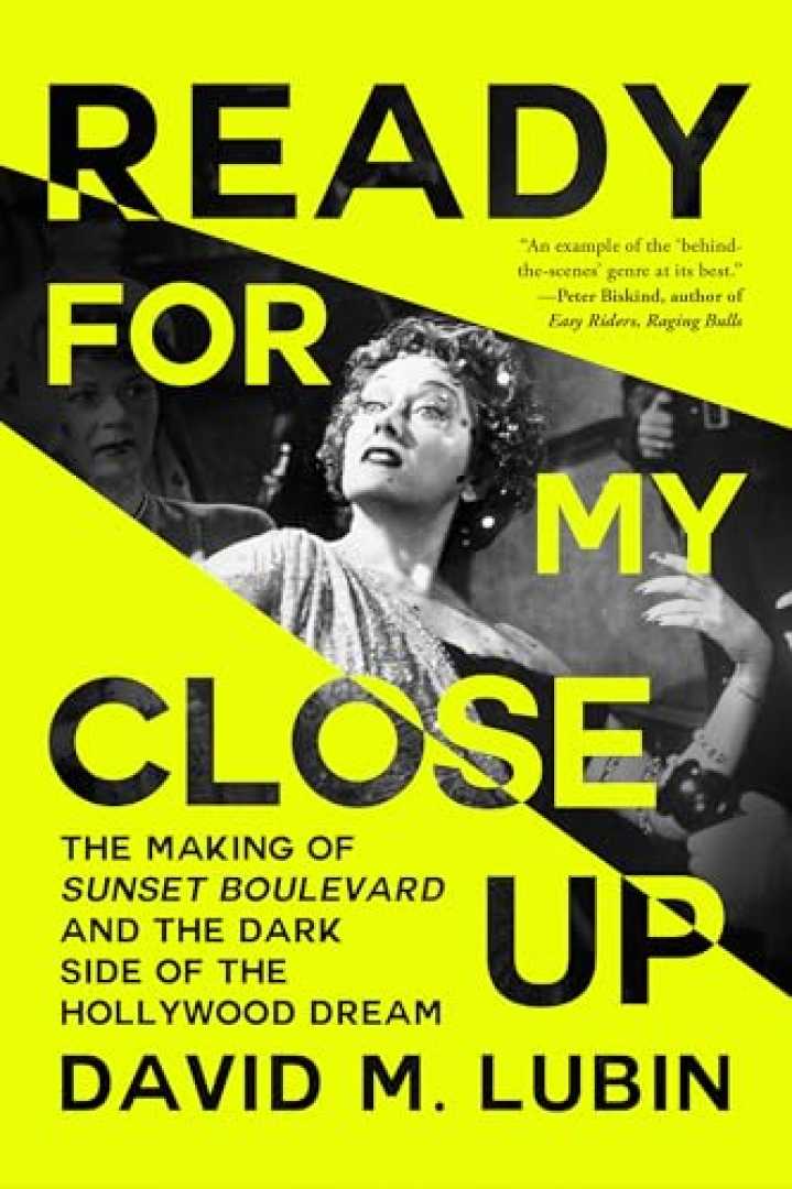 David M. Lubin Sunset Boulevard Book