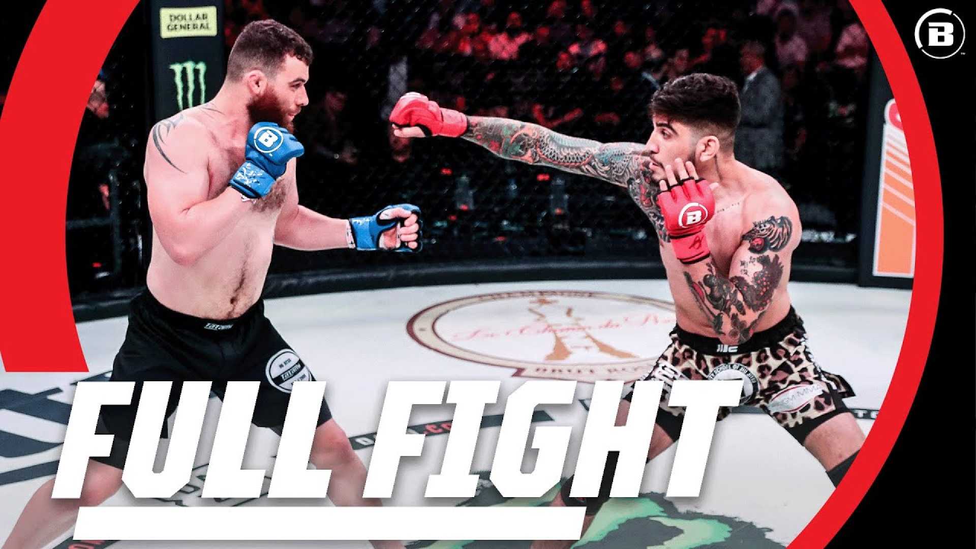 Dillon Danis Mma Fight