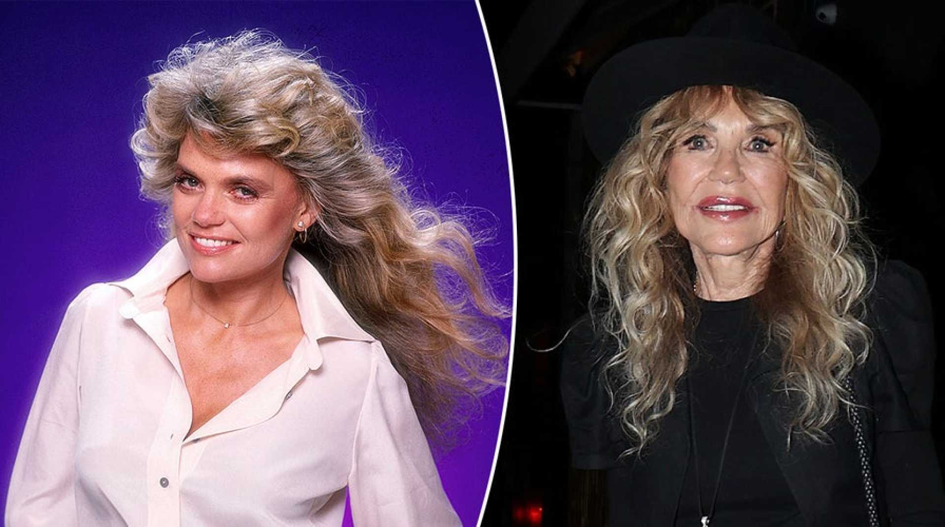 Dyan Cannon White House Incident