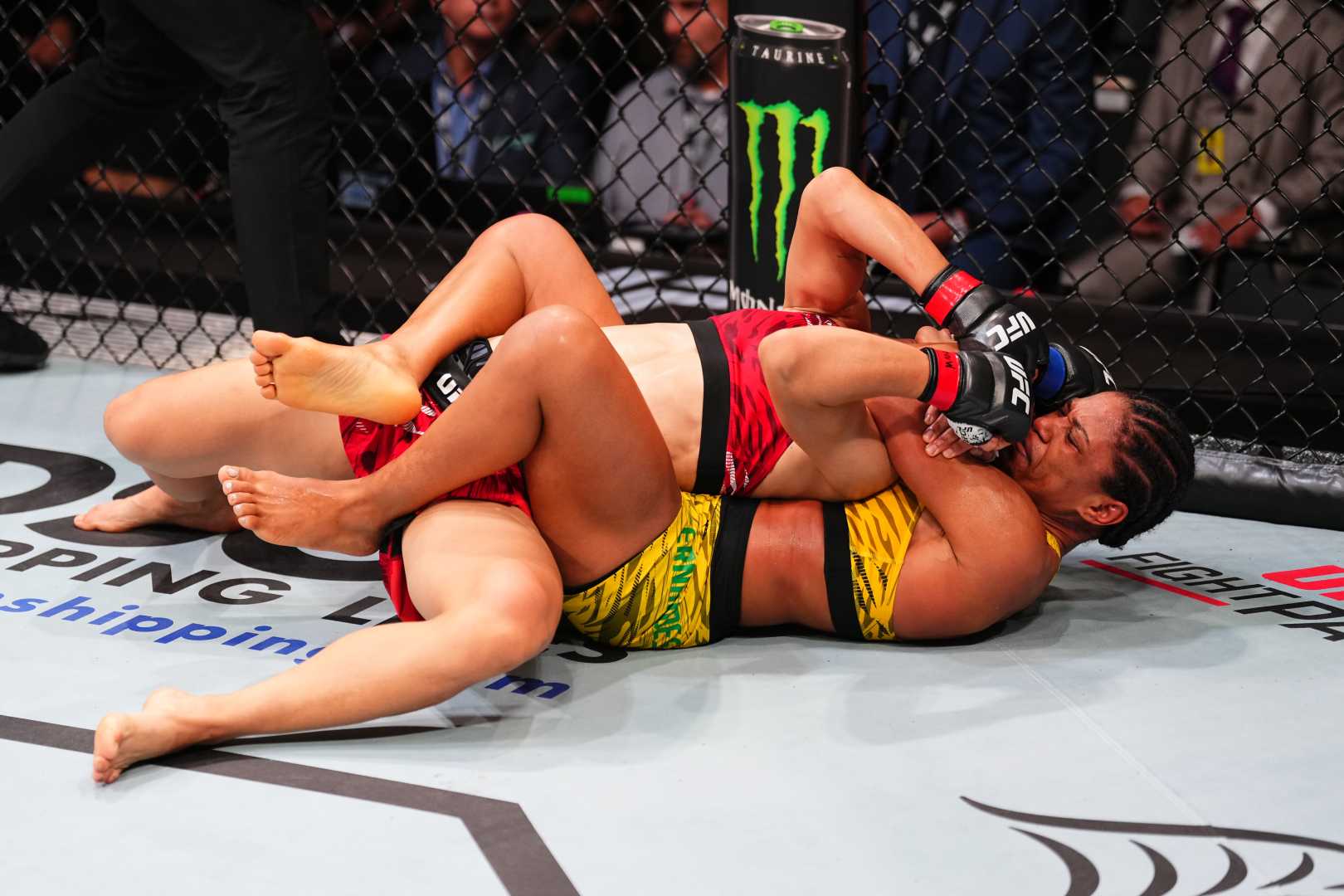 Gabriella Fernandes Ufc Fight