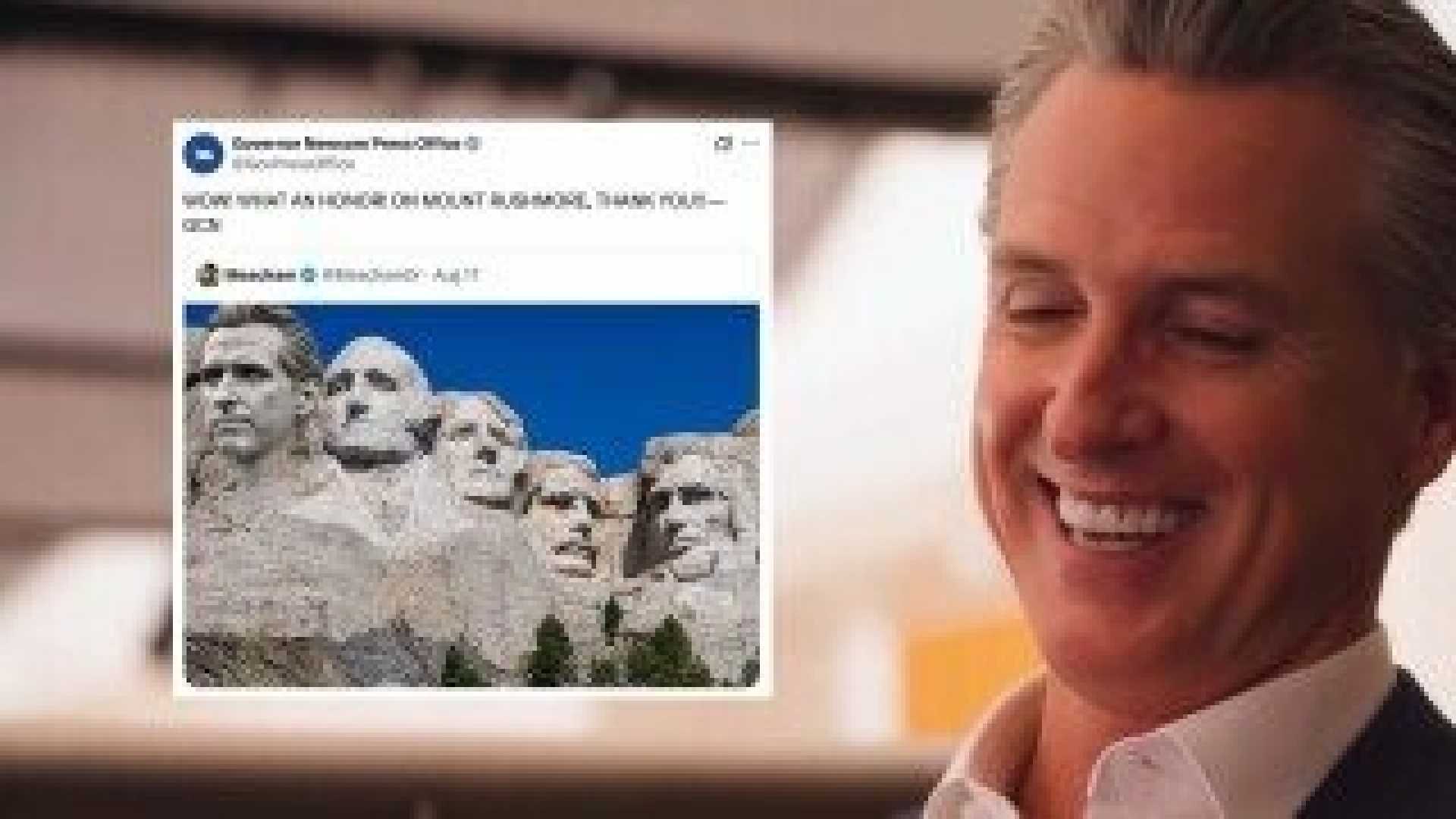Gavin Newsom Social Media Humor