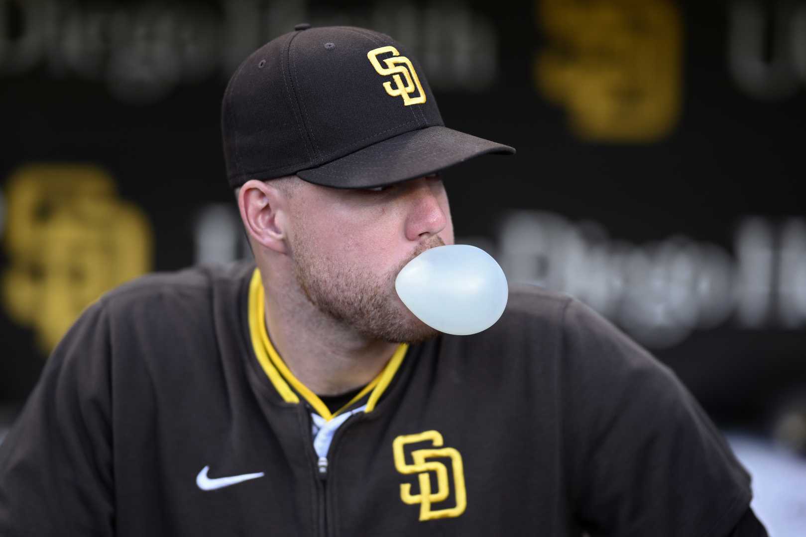 Gavin Sheets San Diego Padres Mlb