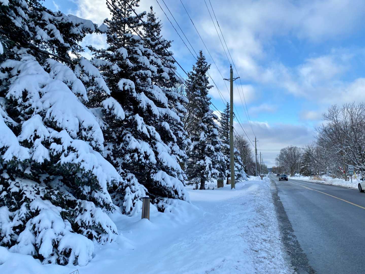 Halton Hills Weather Forecast