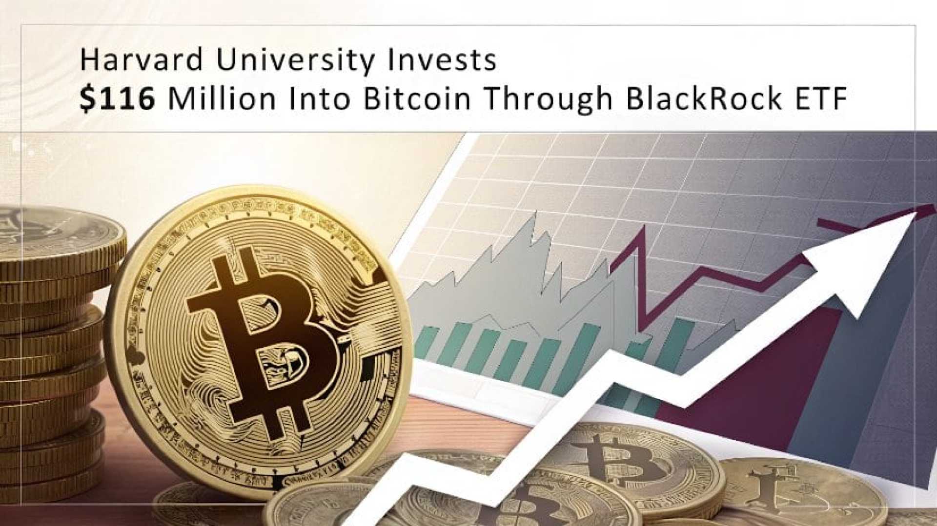 Harvard University Bitcoin Investment