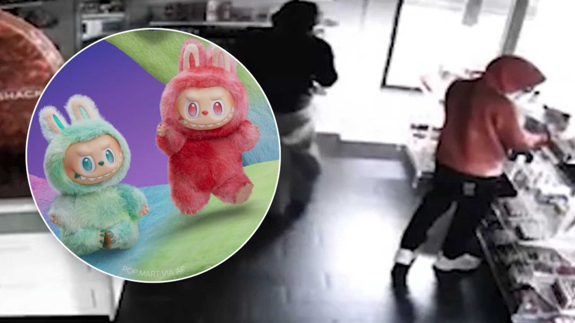 Labubu Plush Toy Theft Incident