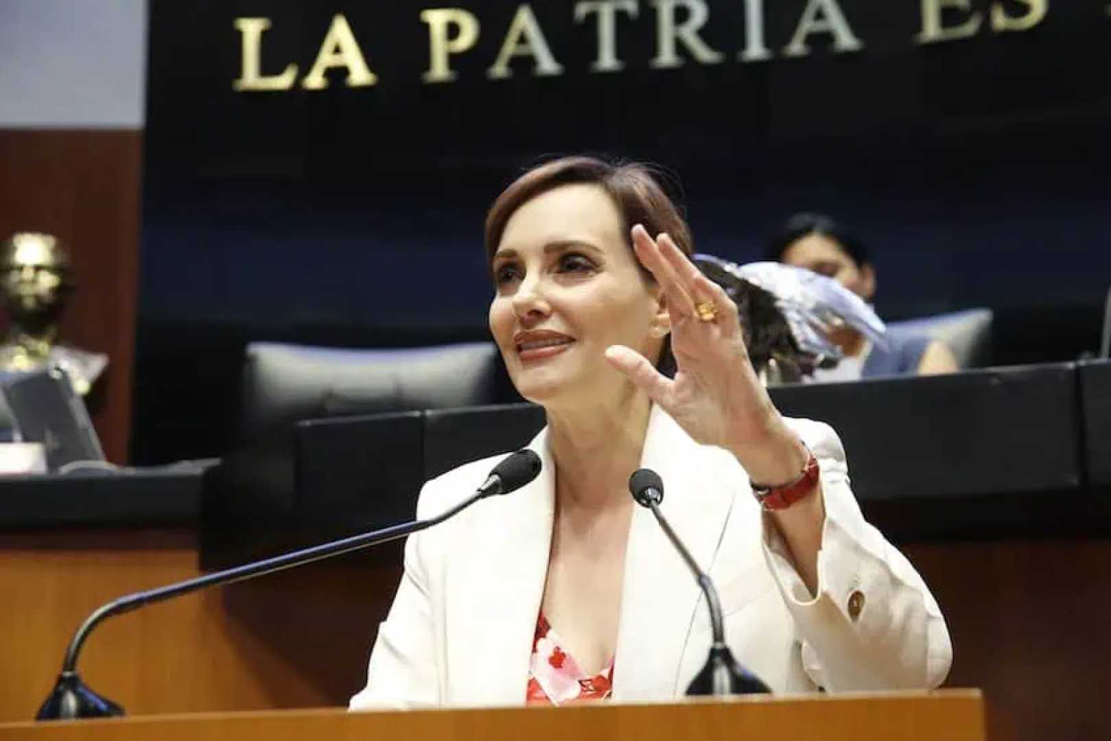 Lilly Téllez Senate Fox News Interview