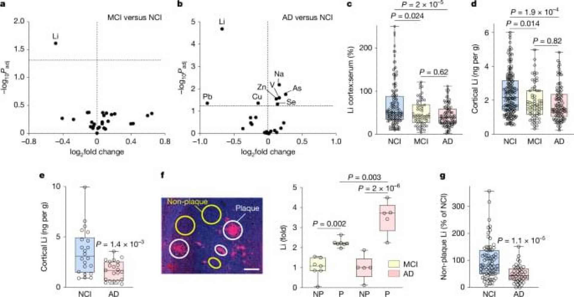 Lithium Deficiency And Alzheimer's Research