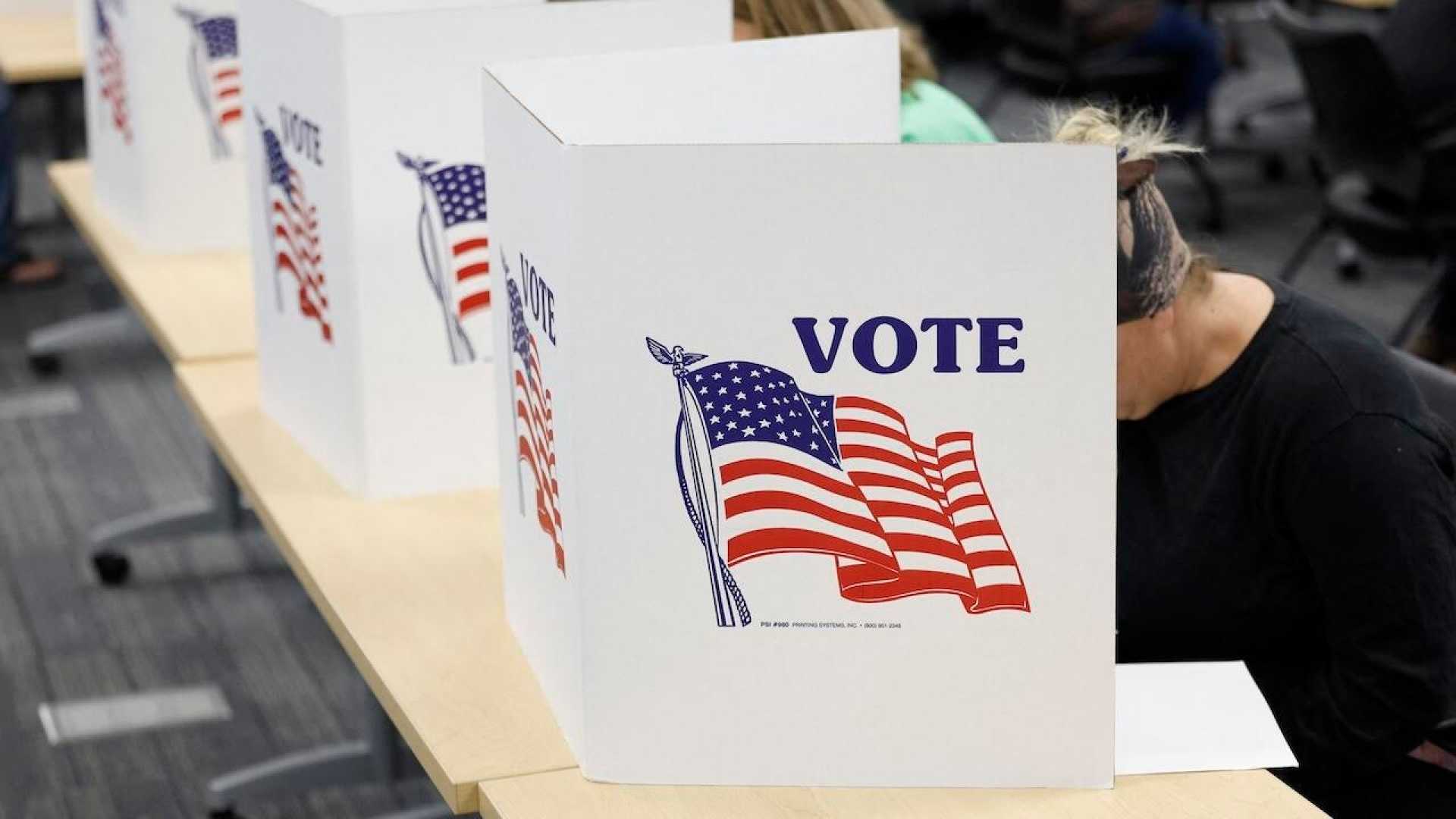Michigan Primary Election August 2025