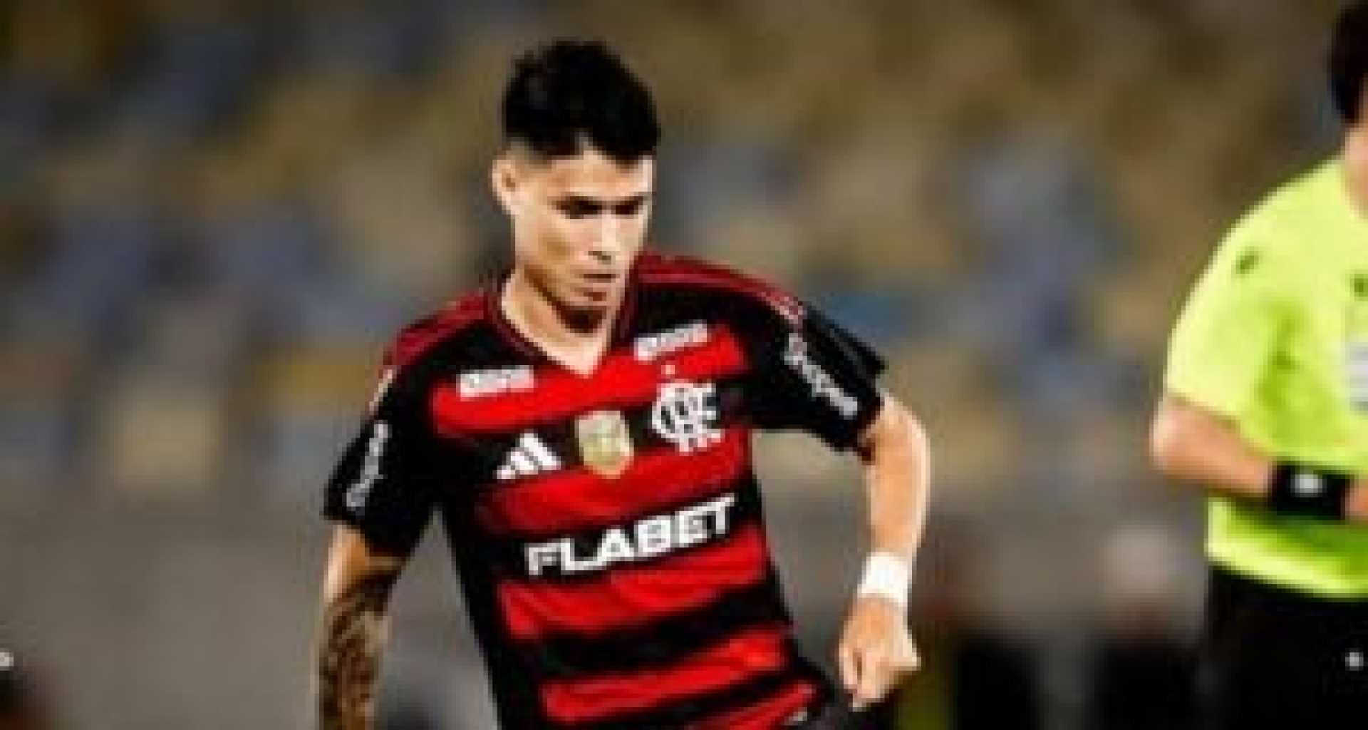 Mirassol Vs Flamengo Luiz Araujo