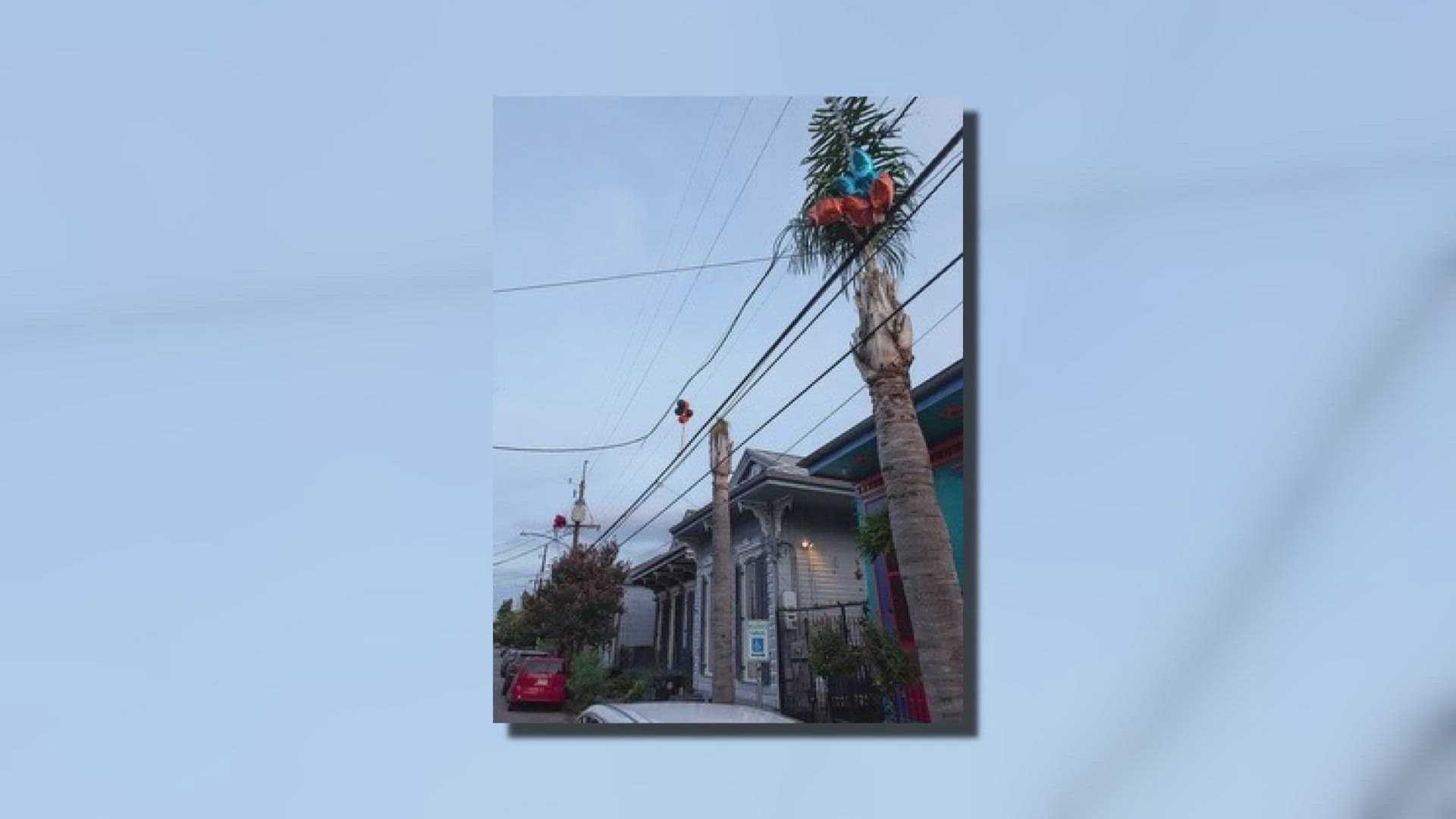 Mylar Balloon Power Outage New Orleans