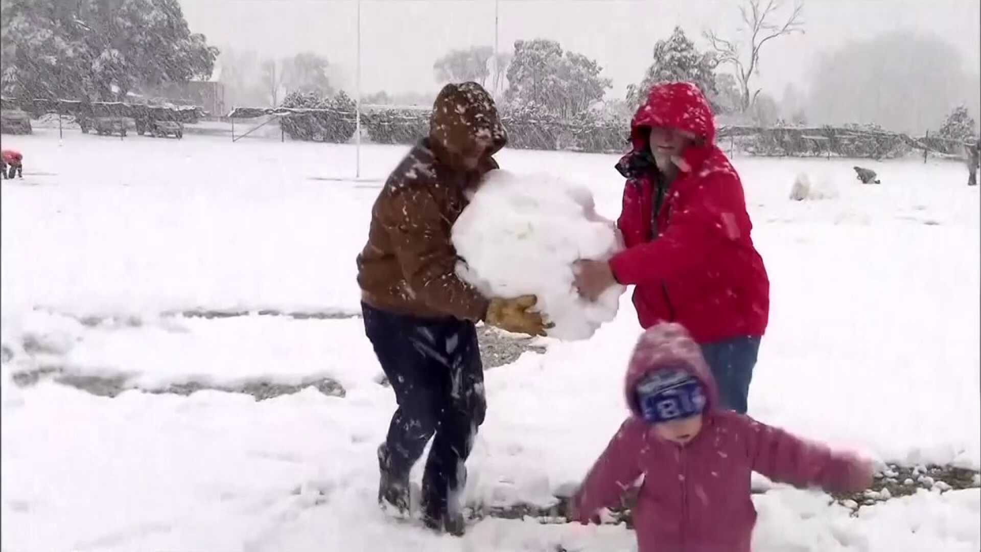New South Wales Snowmen Snowball Fights