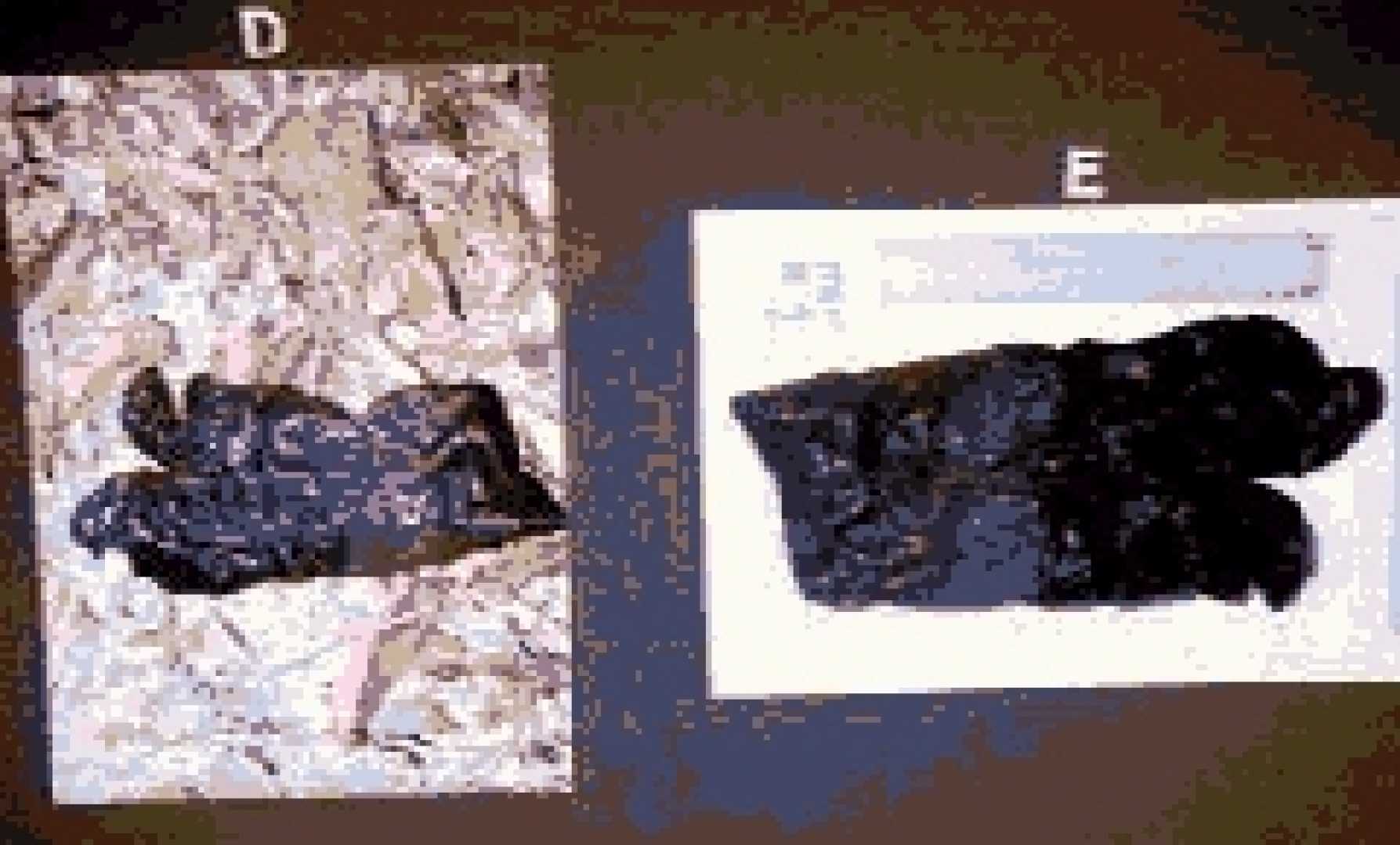 O.j. Simpson Court Case Dna Evidence