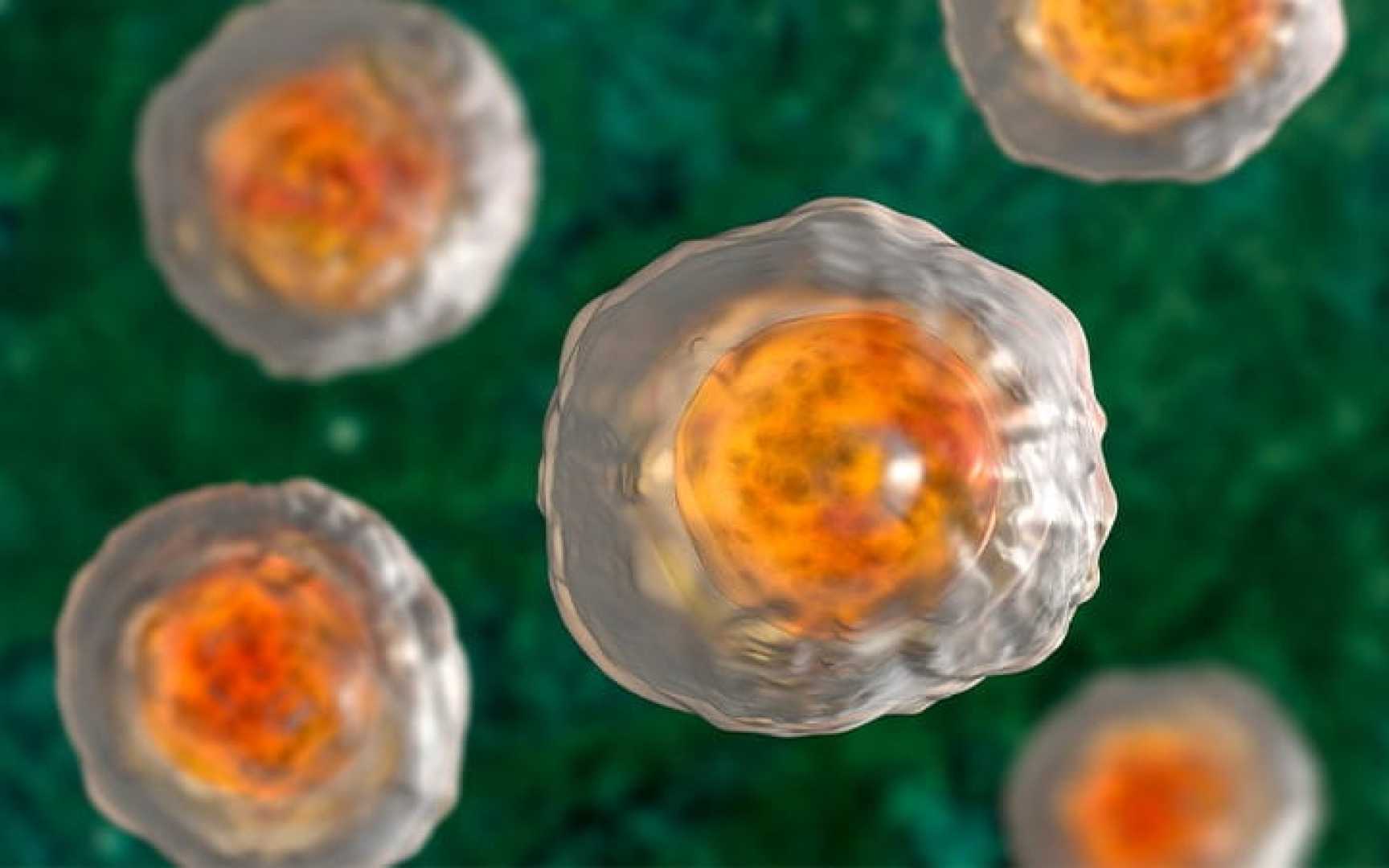 Parasite Cleanses Health Warning