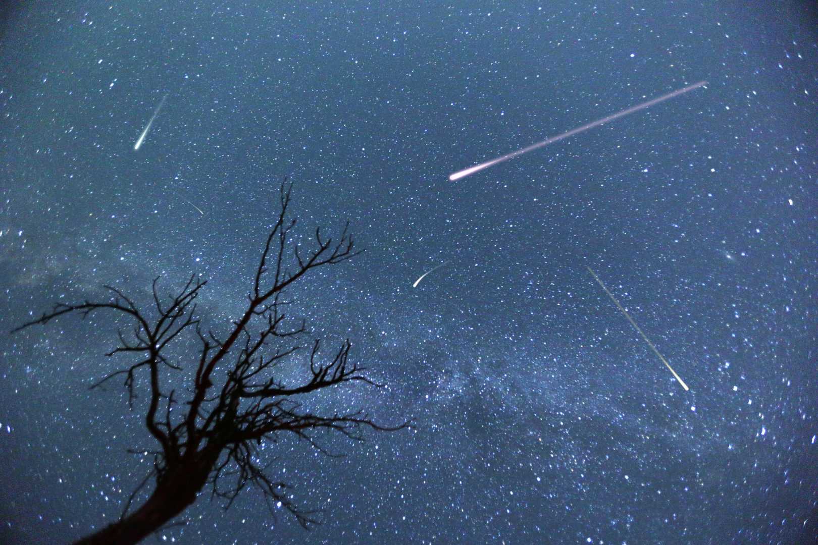 Perseid Meteor Shower Night Sky