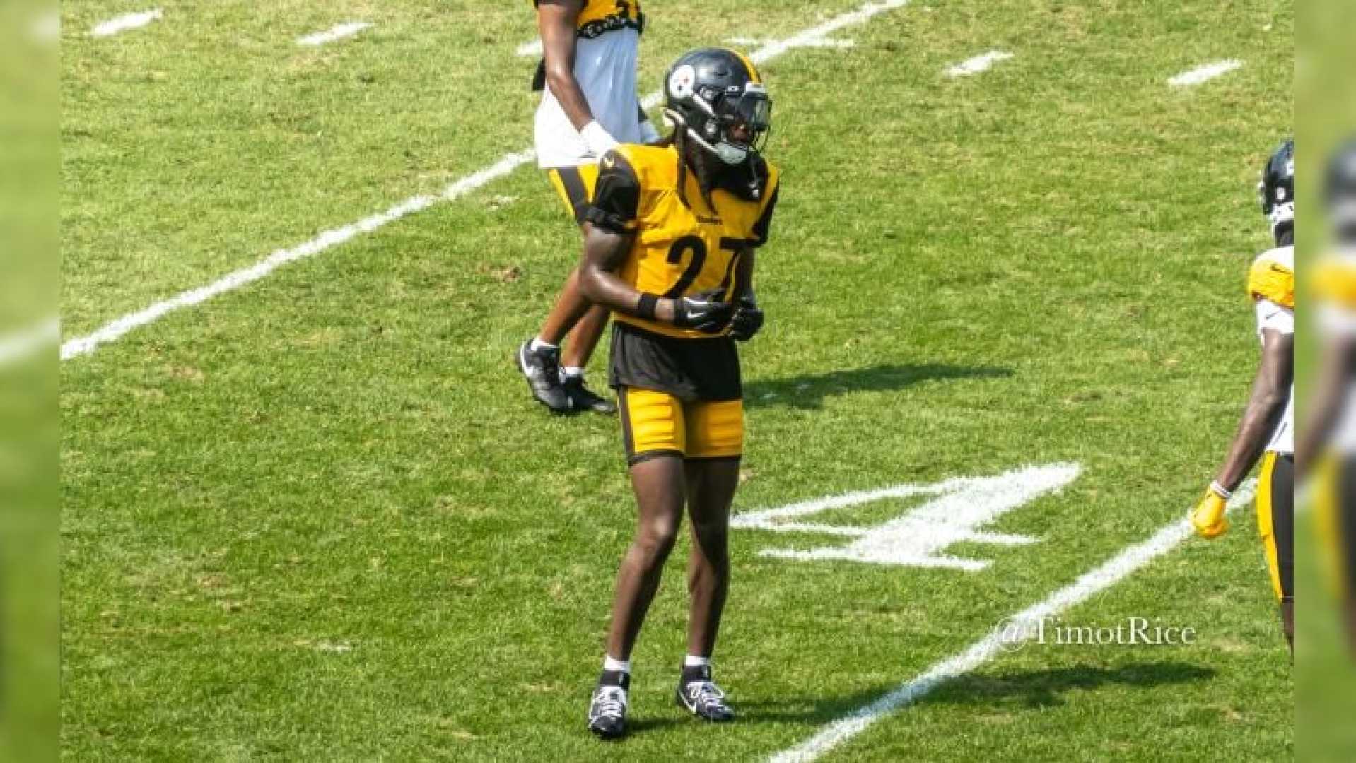 Pittsburgh Steelers Training Camp Injuries