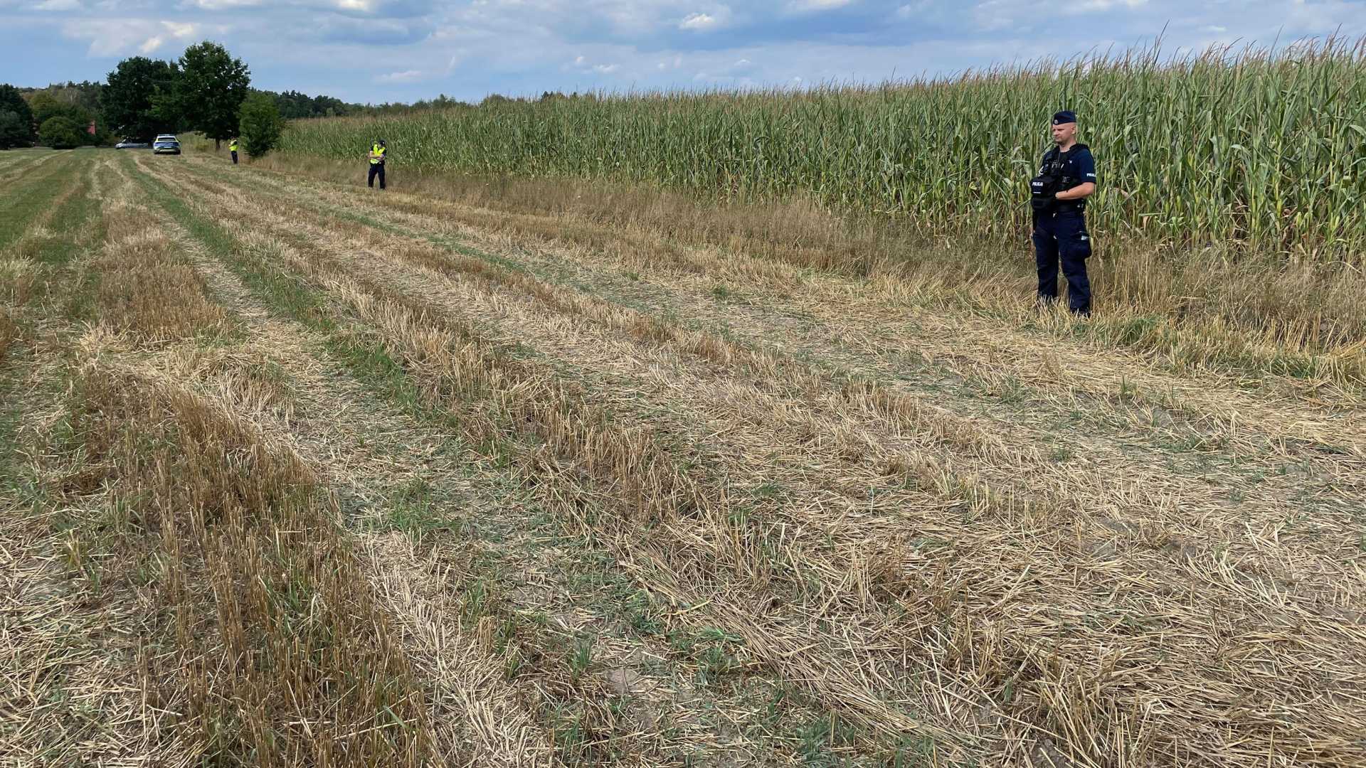 Russian Drone Crash In Poland Cornfield