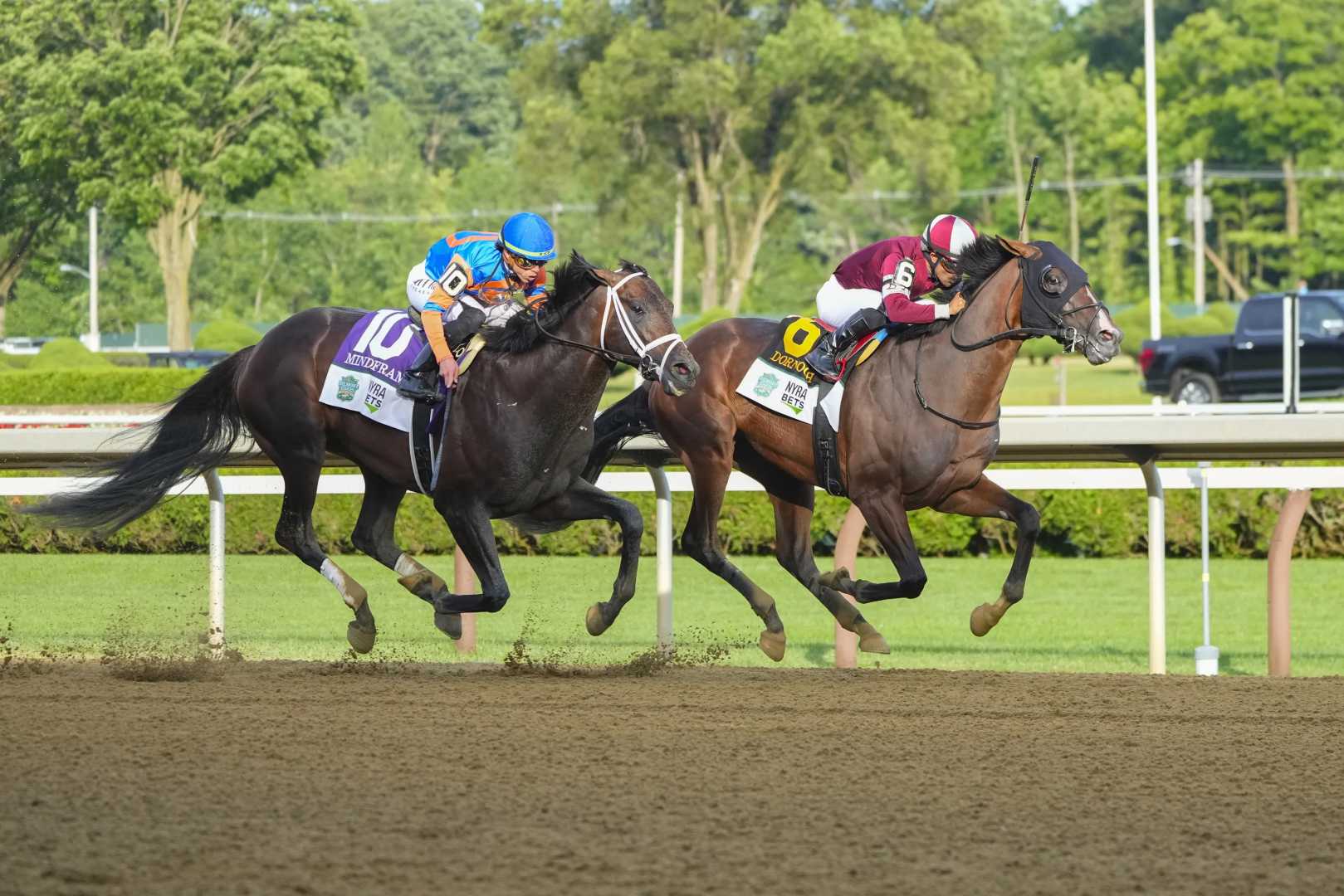 Saratoga Horse Racing Picks