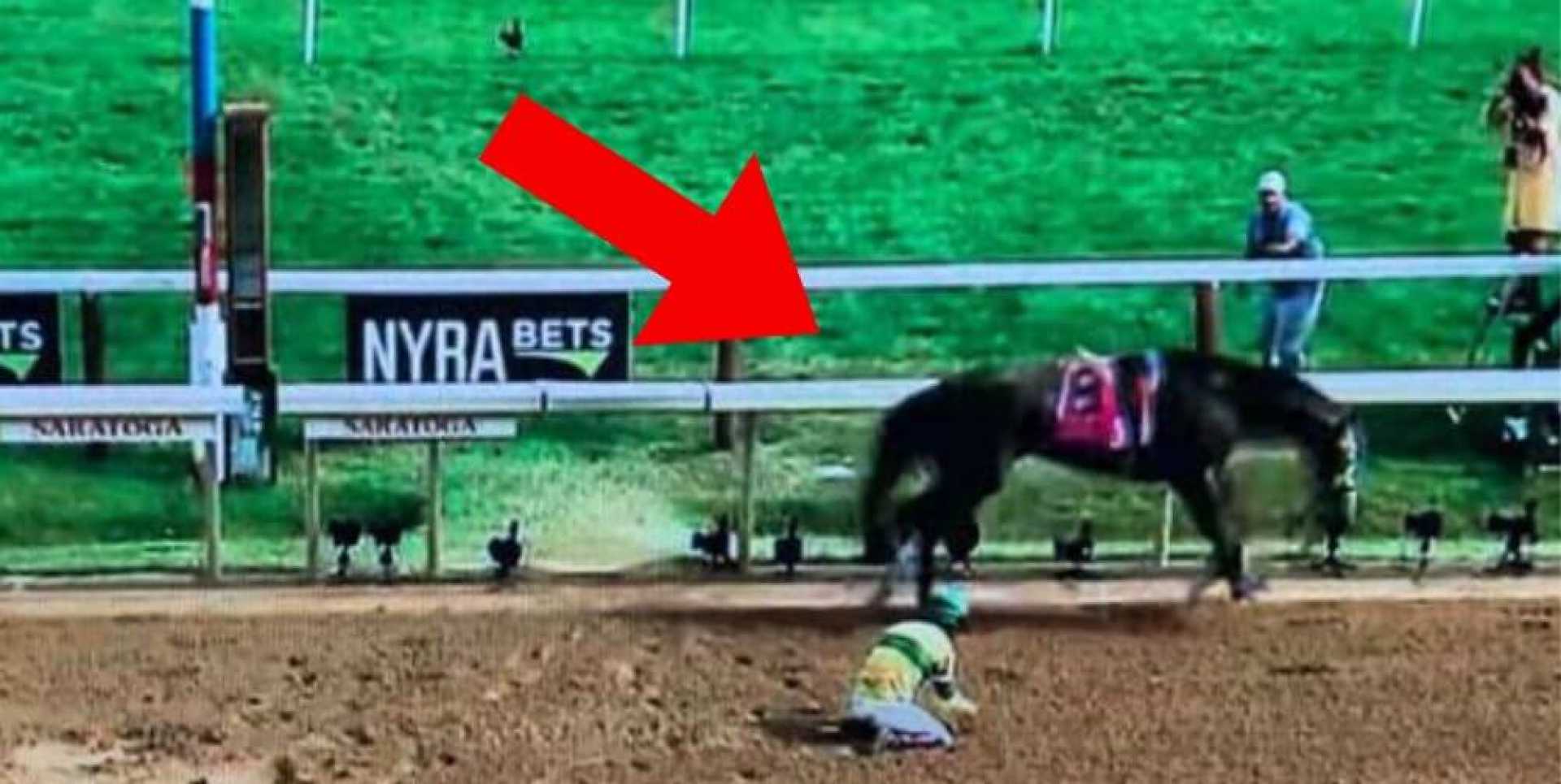 Saratoga Race Course Horse Injuries