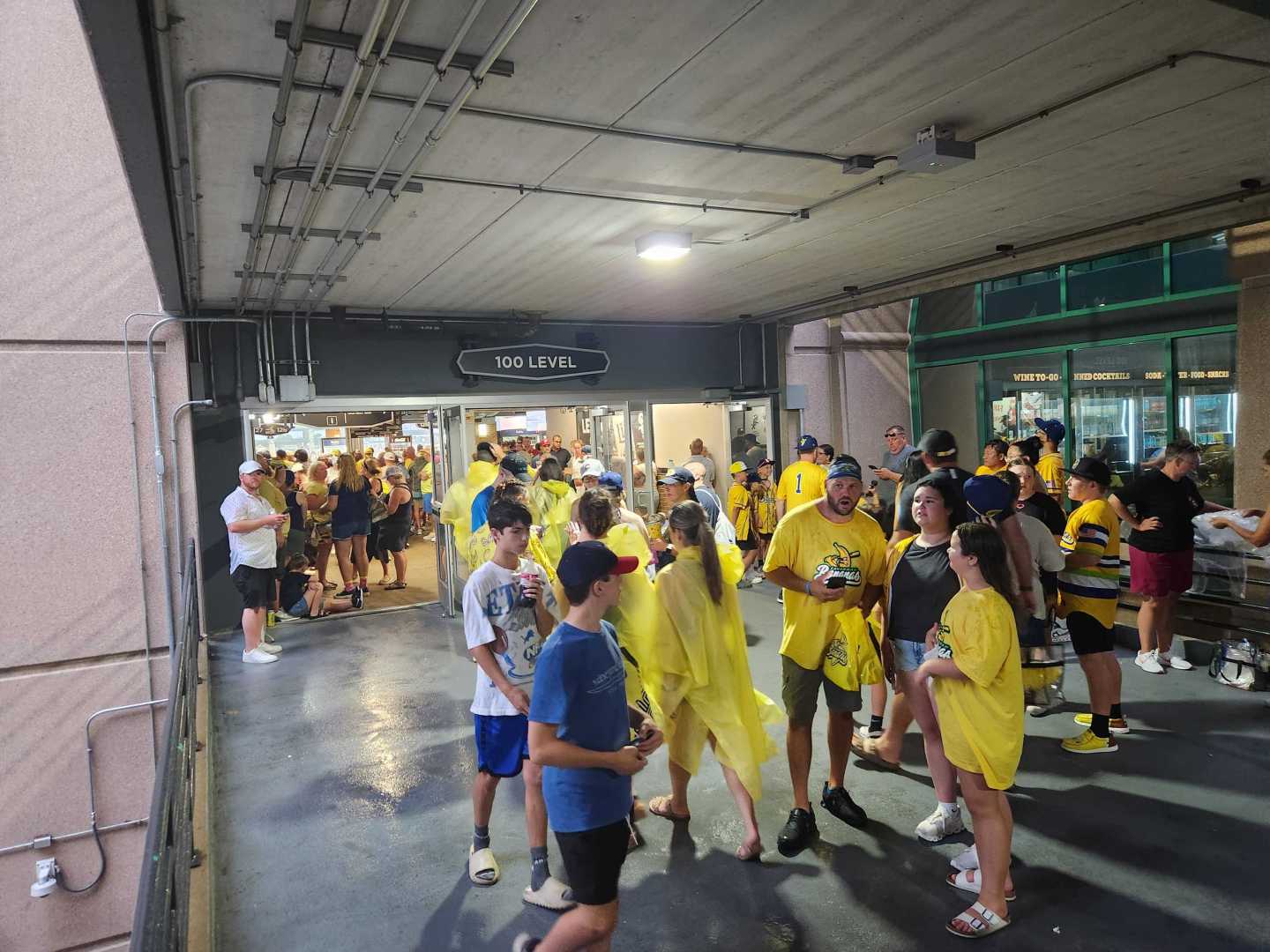 Savannah Bananas Game Rain Delay