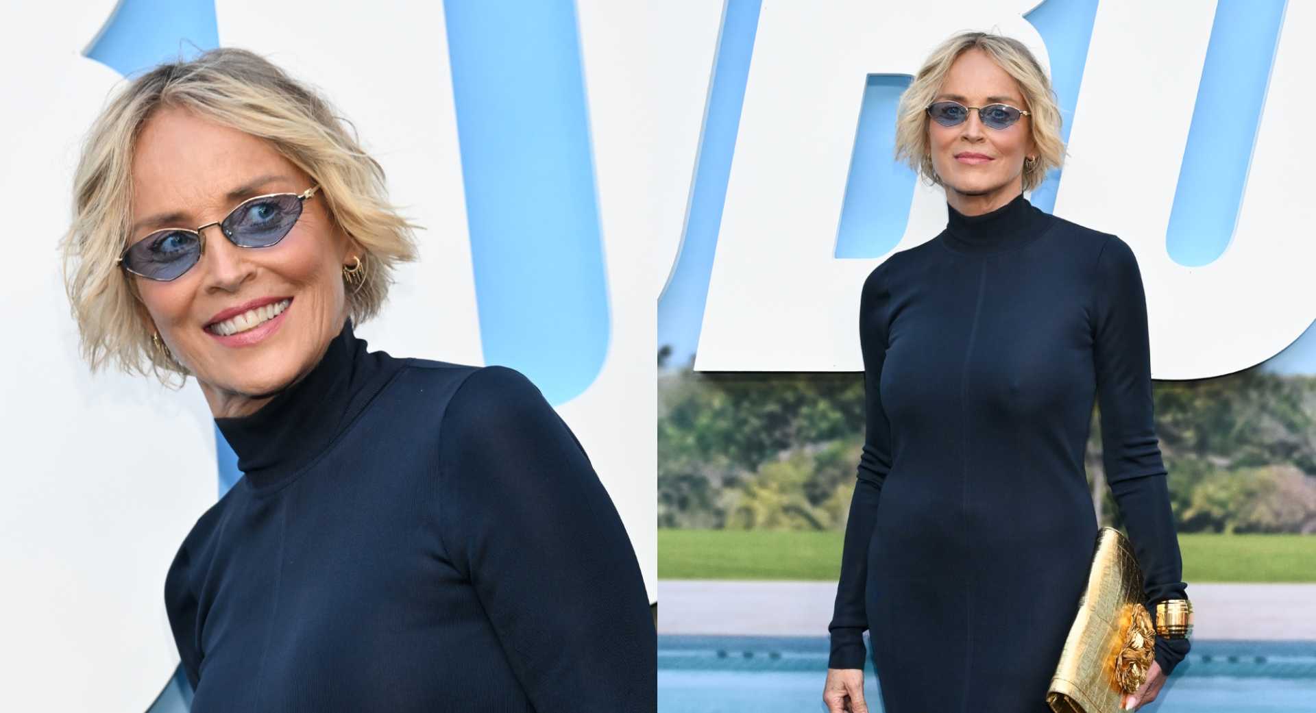 Sharon Stone Nobody 2 Premiere Red Carpet