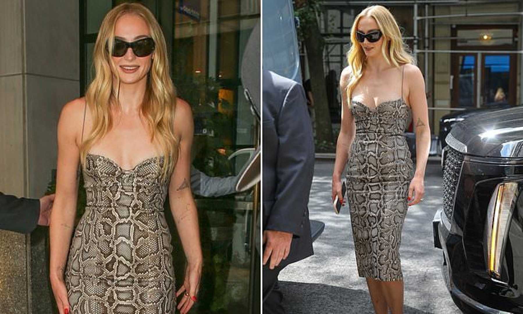 Sophie Turner Red Carpet Snake Print Dress