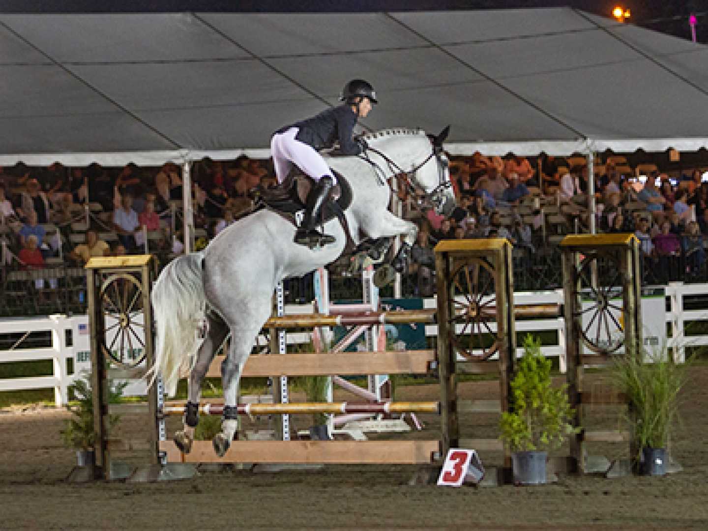 Sussex County Farm Horse Show