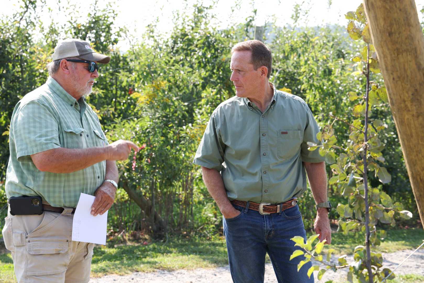 Ted Budd Agriculture Labor Regulations