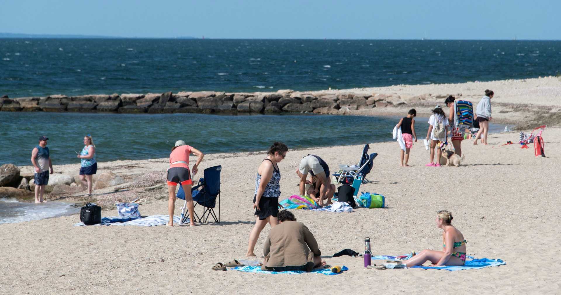 Vibrio Vulnificus Infection Cape Cod