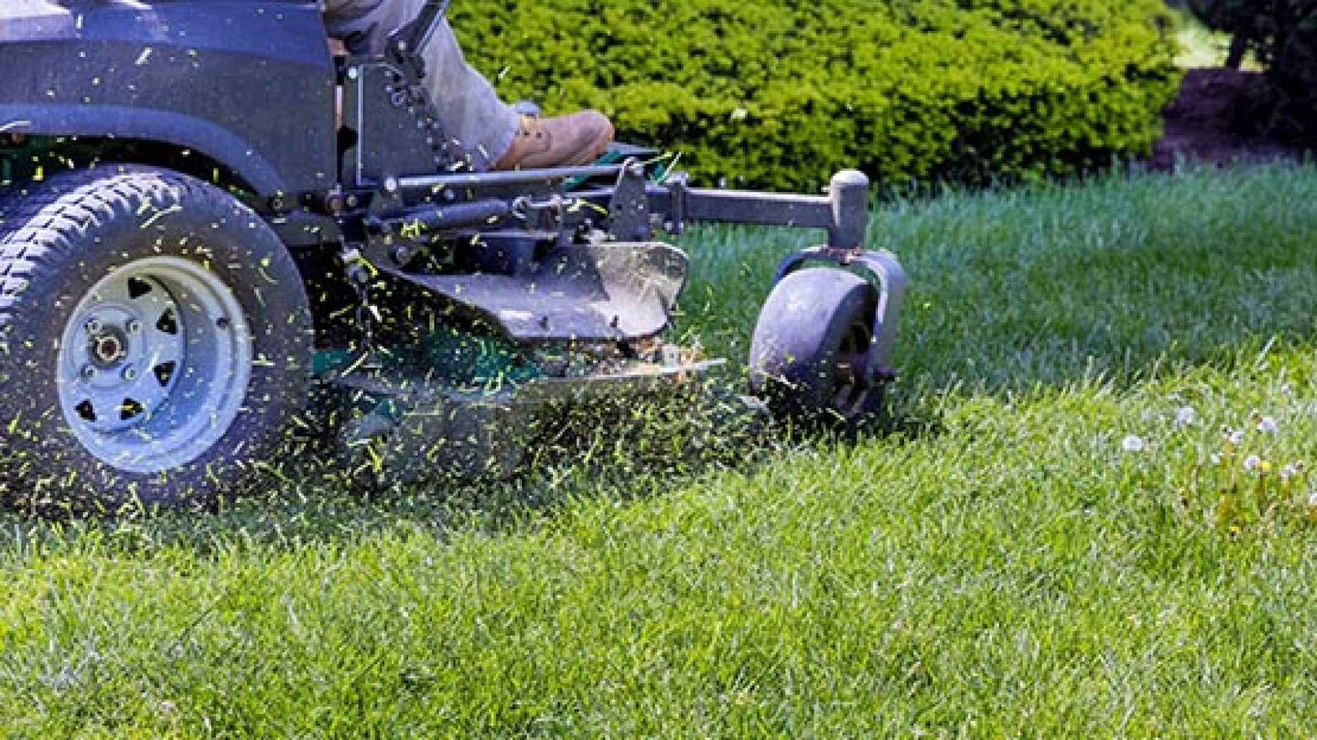 Virginia Lottery Jackpot Winner Lawn Mower