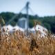 Argentina Soybeans Trade China