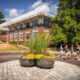 Babson College Rankings News