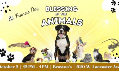 Blessing Of The Animals Event