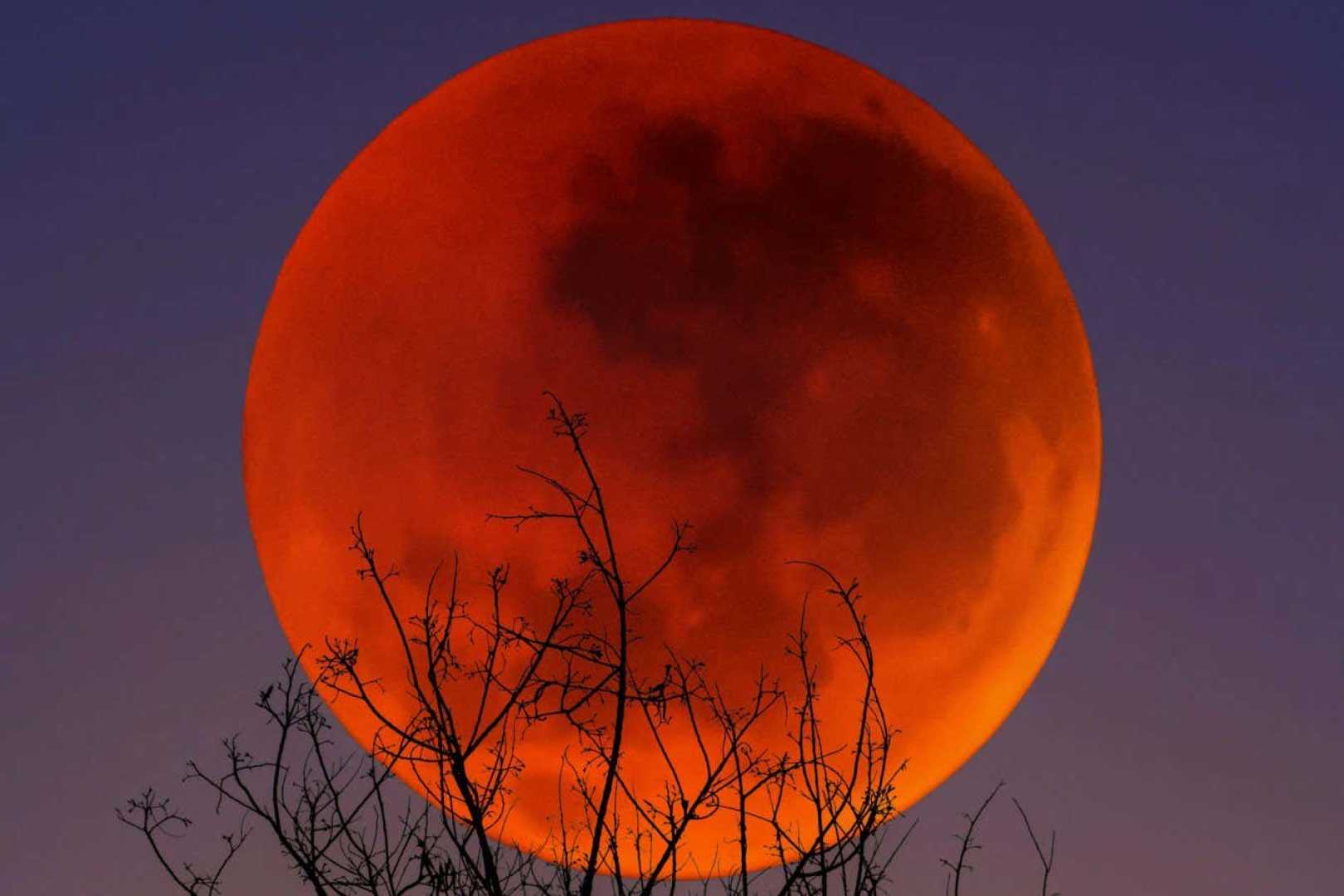 Blood Moon Lunar Eclipse