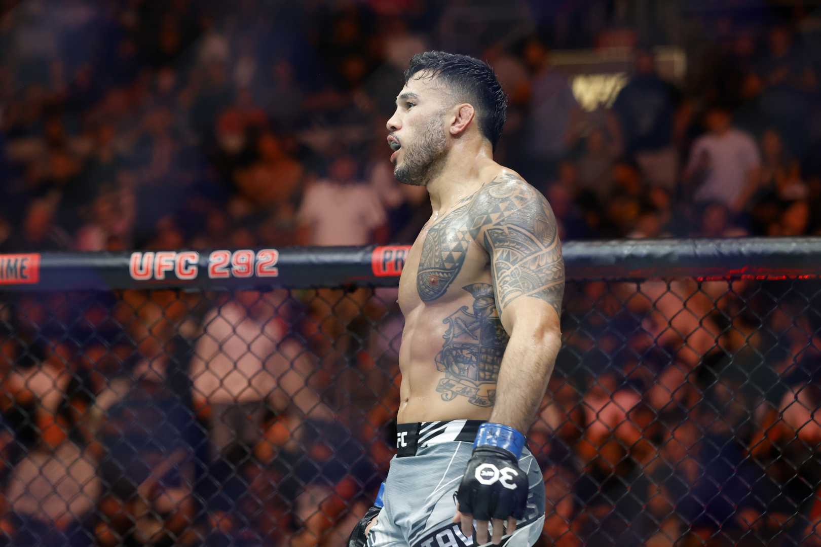 Brad Tavares Mma Fight Preparation
