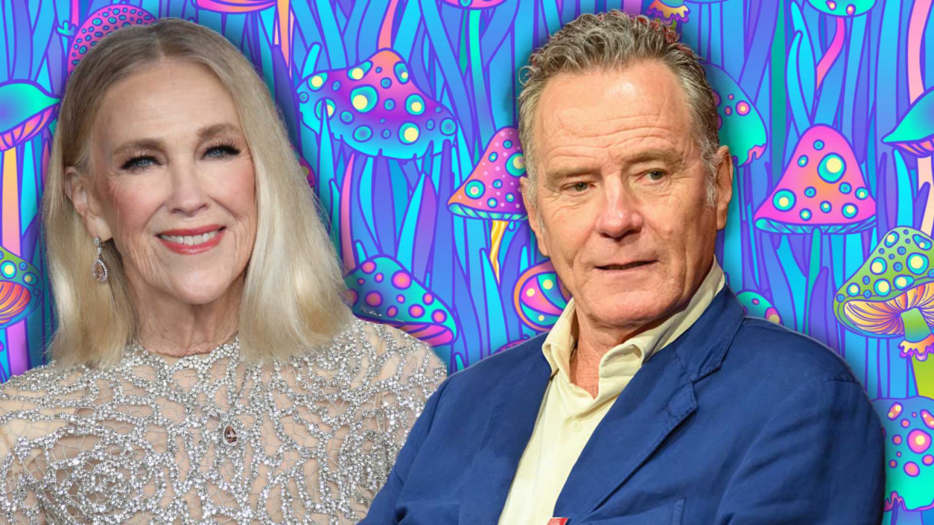 Bryan Cranston Talking About Mushroom Experience