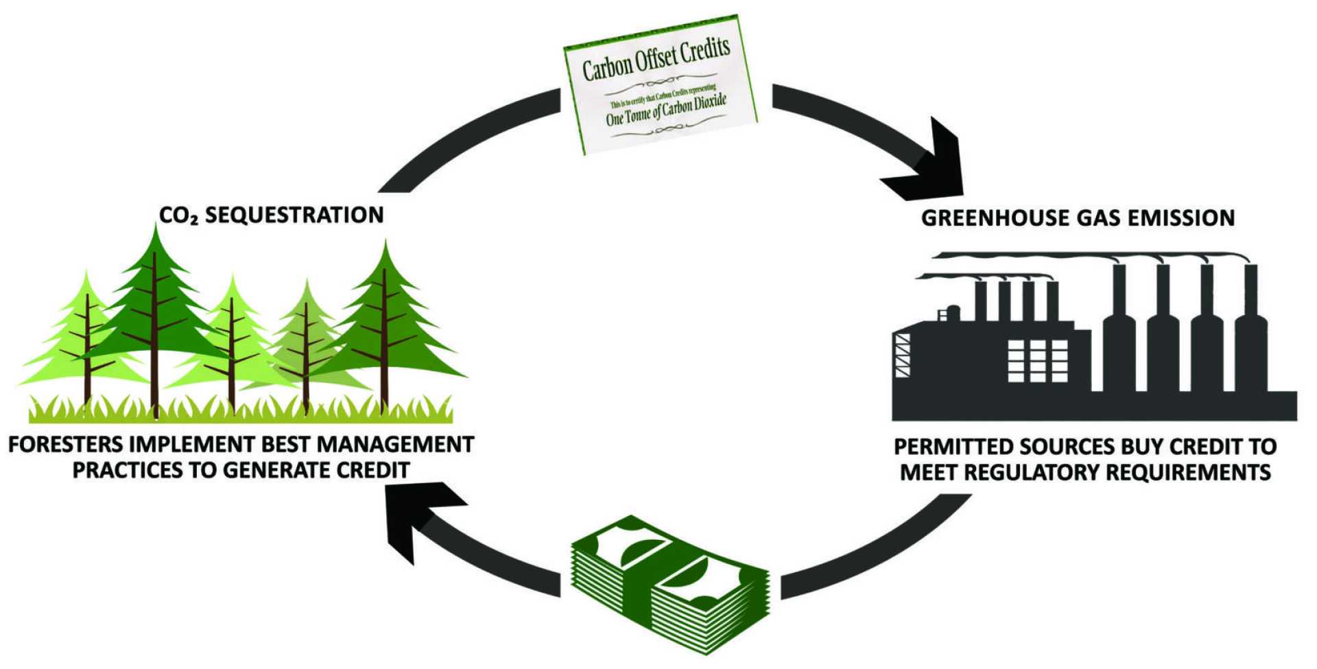 Carbon Credits Market