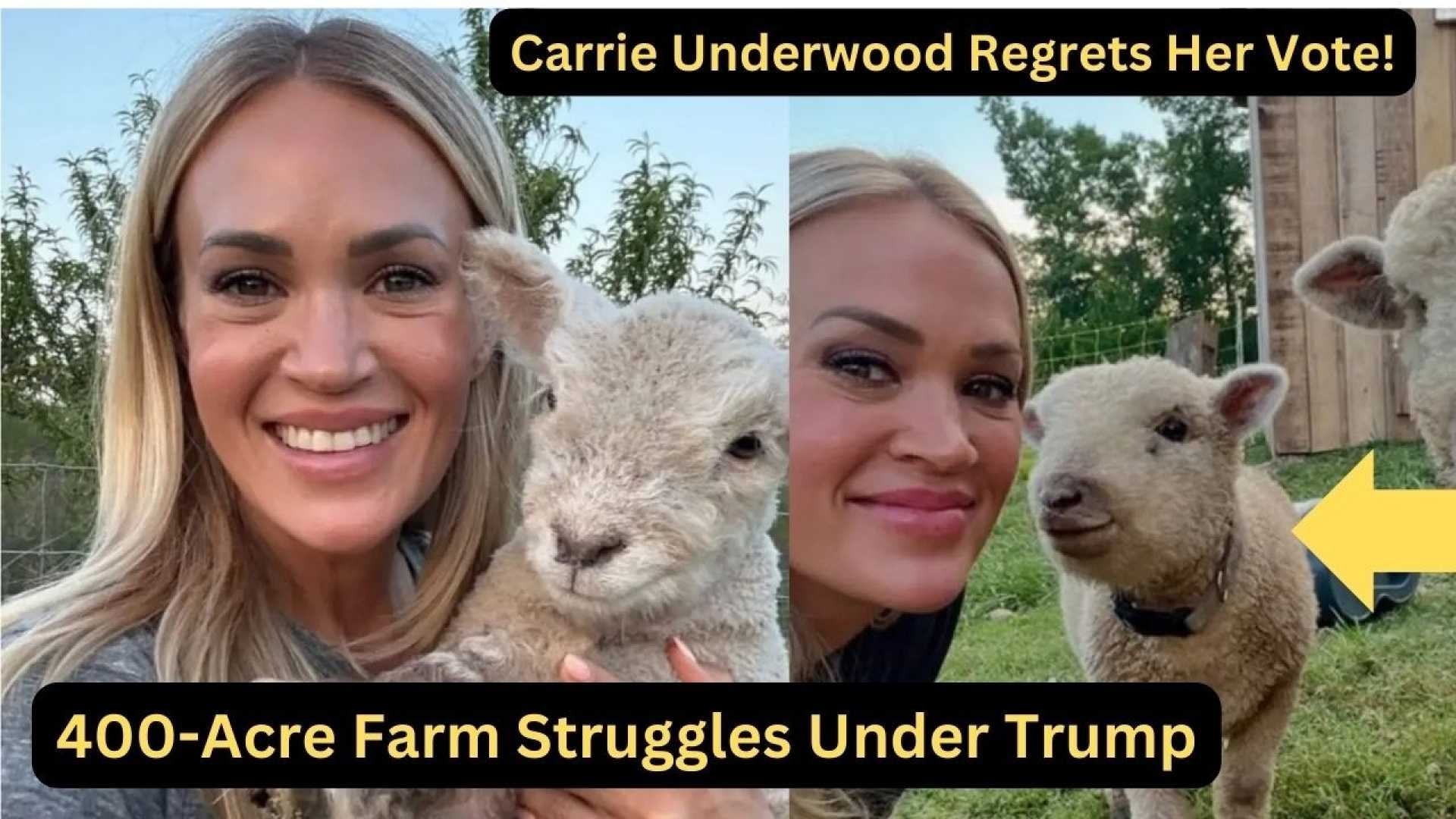 Carrie Underwood Farm Struggles Immigration
