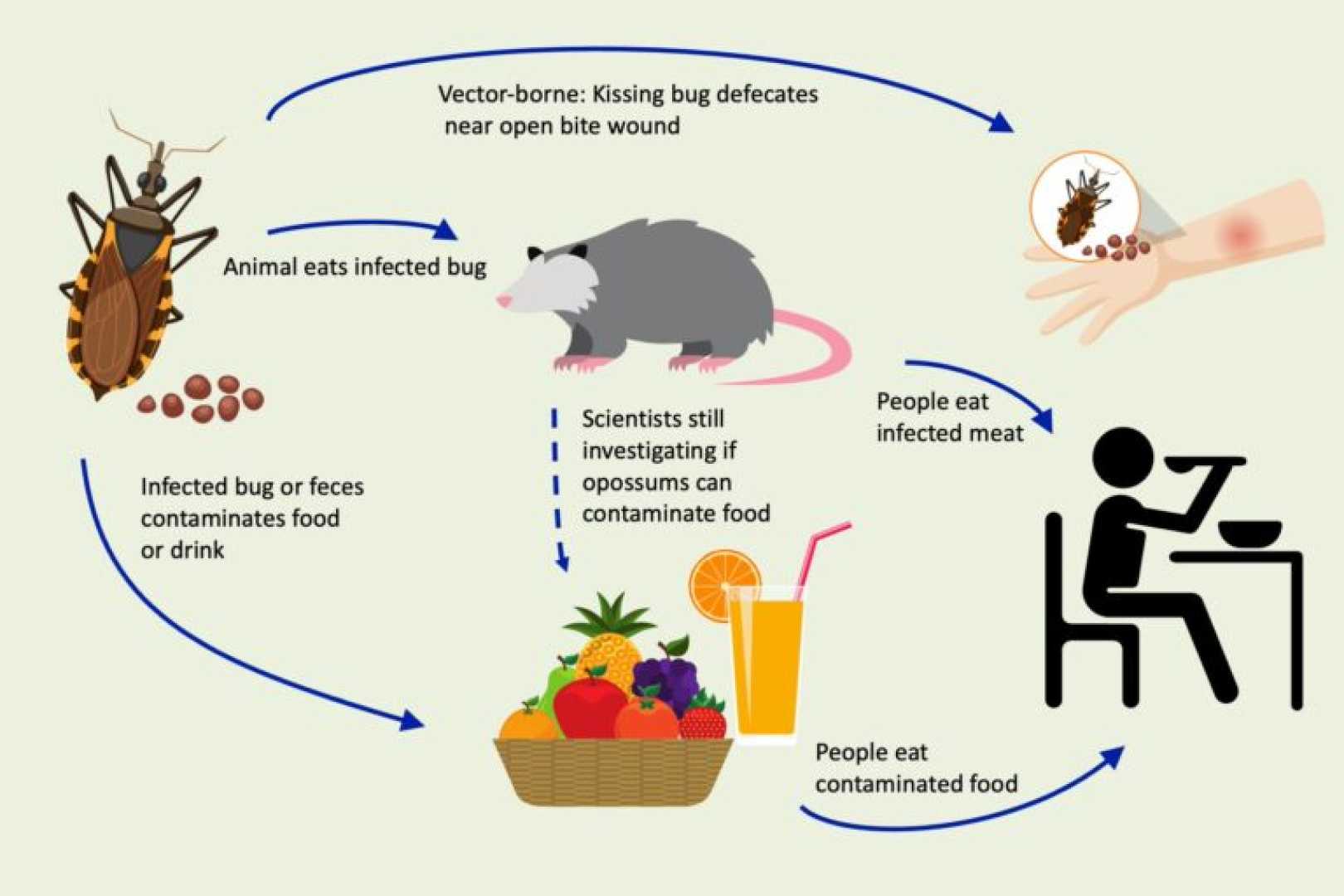 Chagas Disease Kissing Bug Awareness