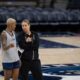 Cheryl Reeve Courtney Williams Wnba Playoffs