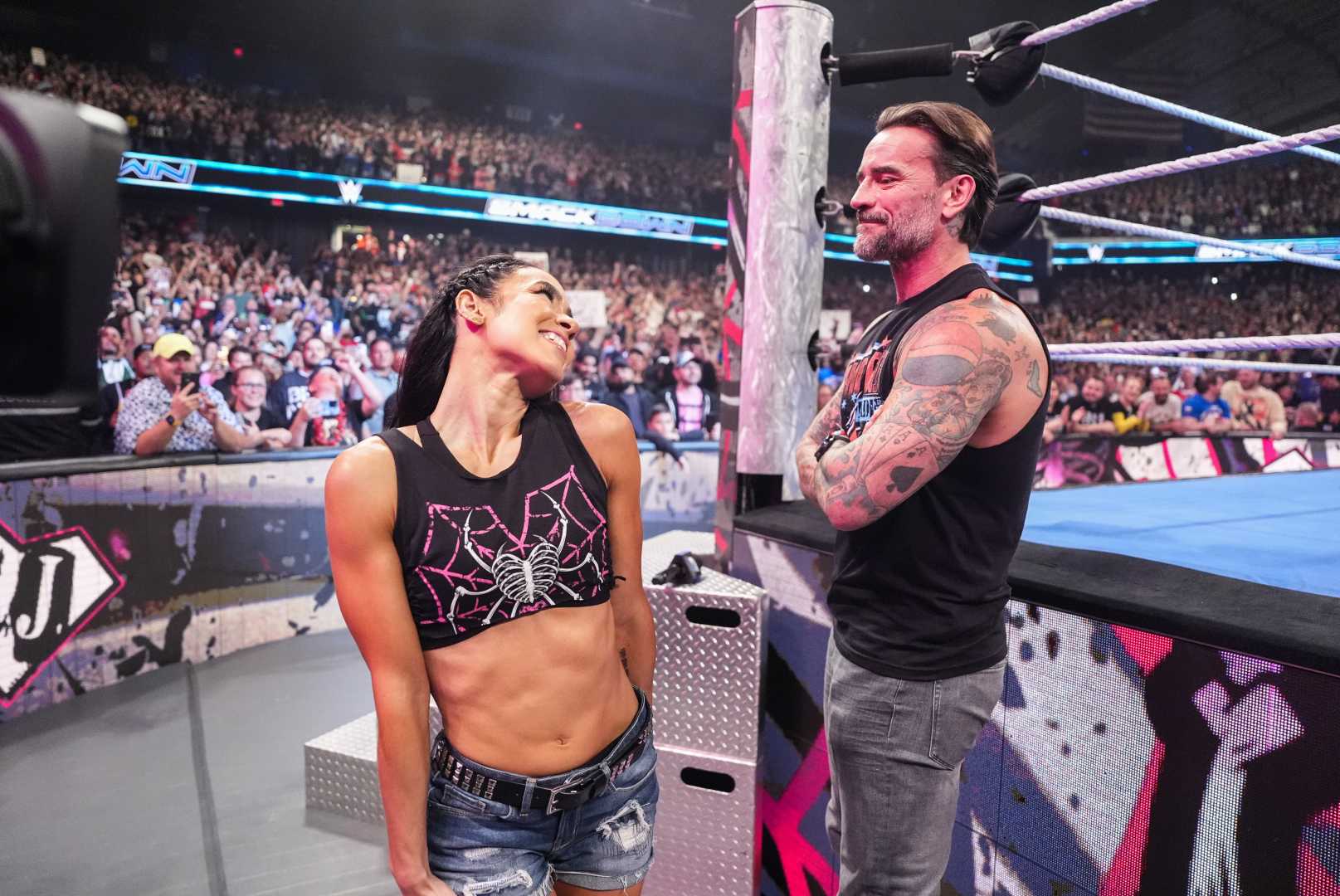 Cm Punk Aj Lee Wrestling Together