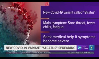 Covid Stratus Variant News Update
