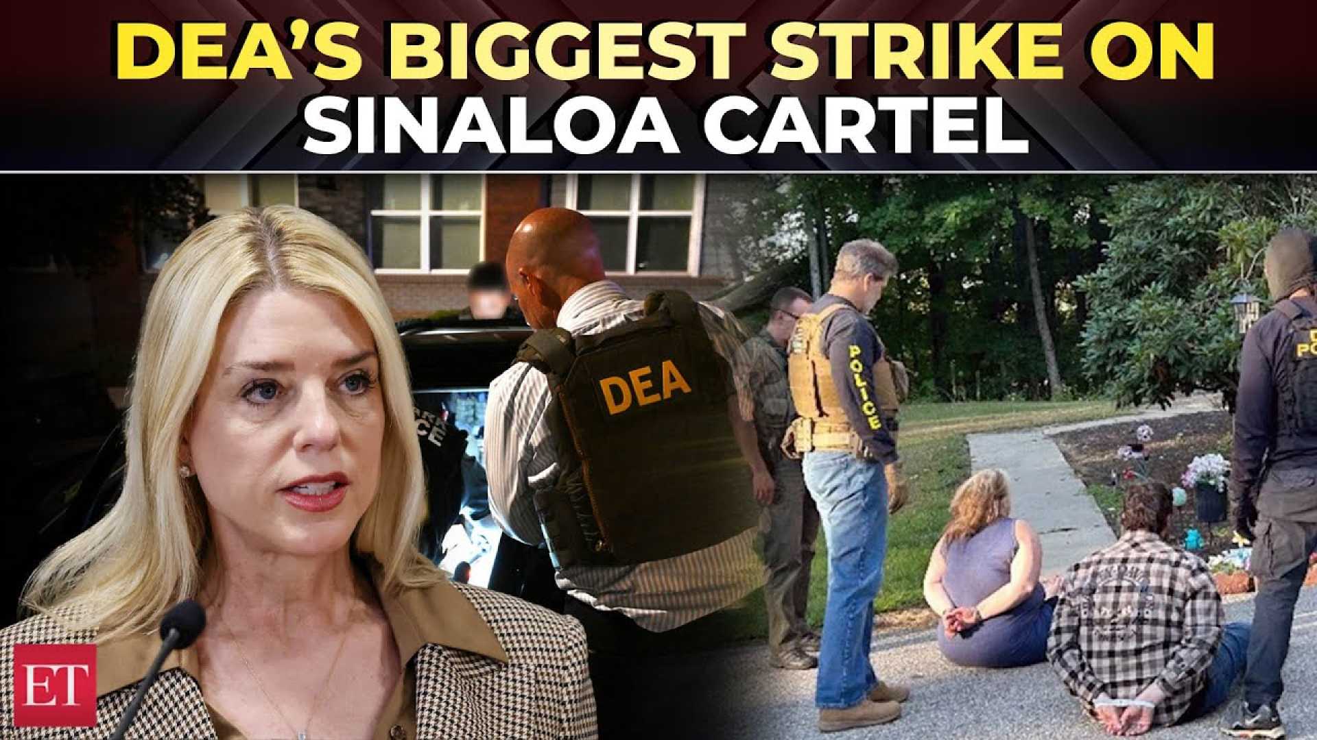 Dea Crackdown Sinaloa Cartel