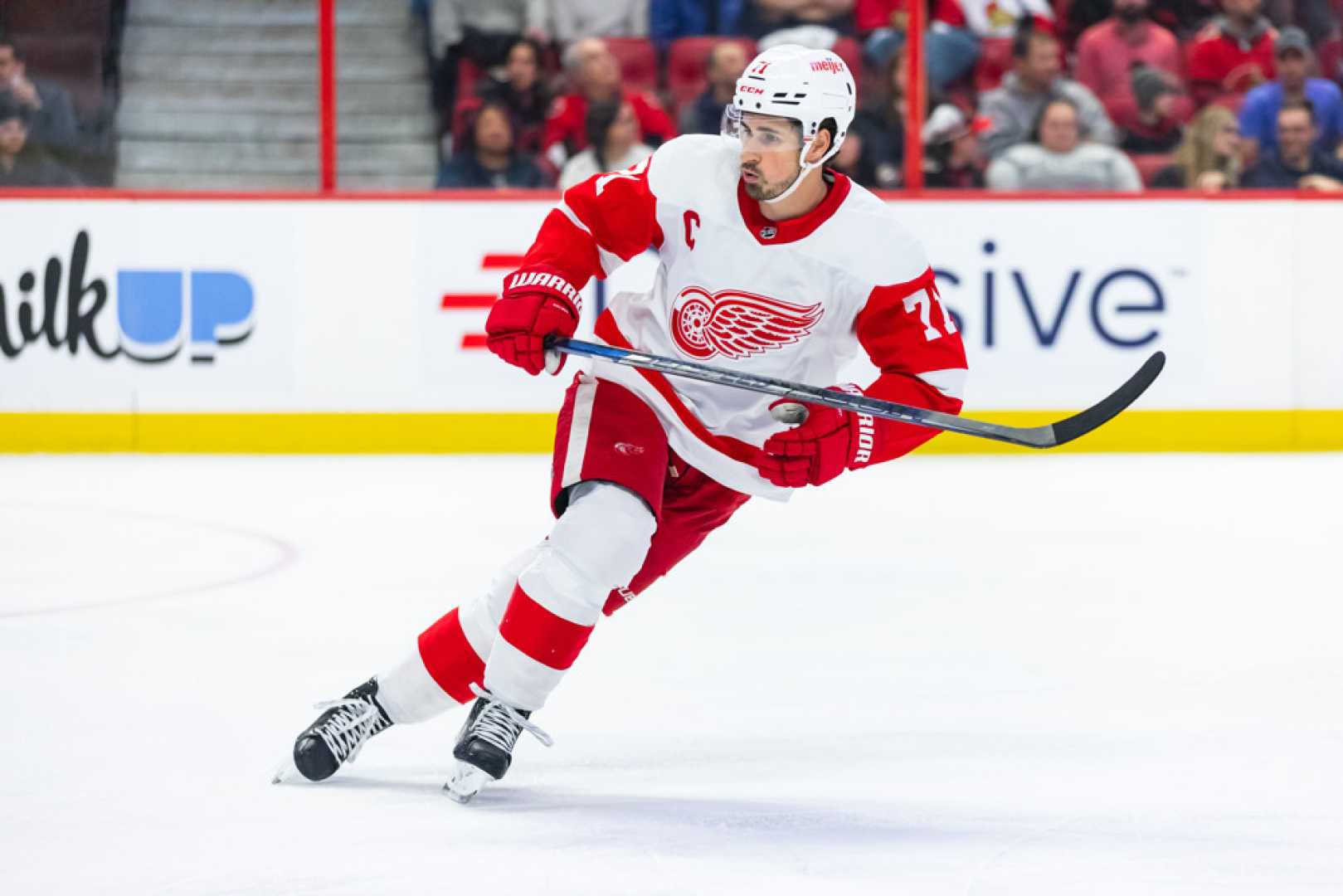 Dylan Larkin Red Wings Hockey