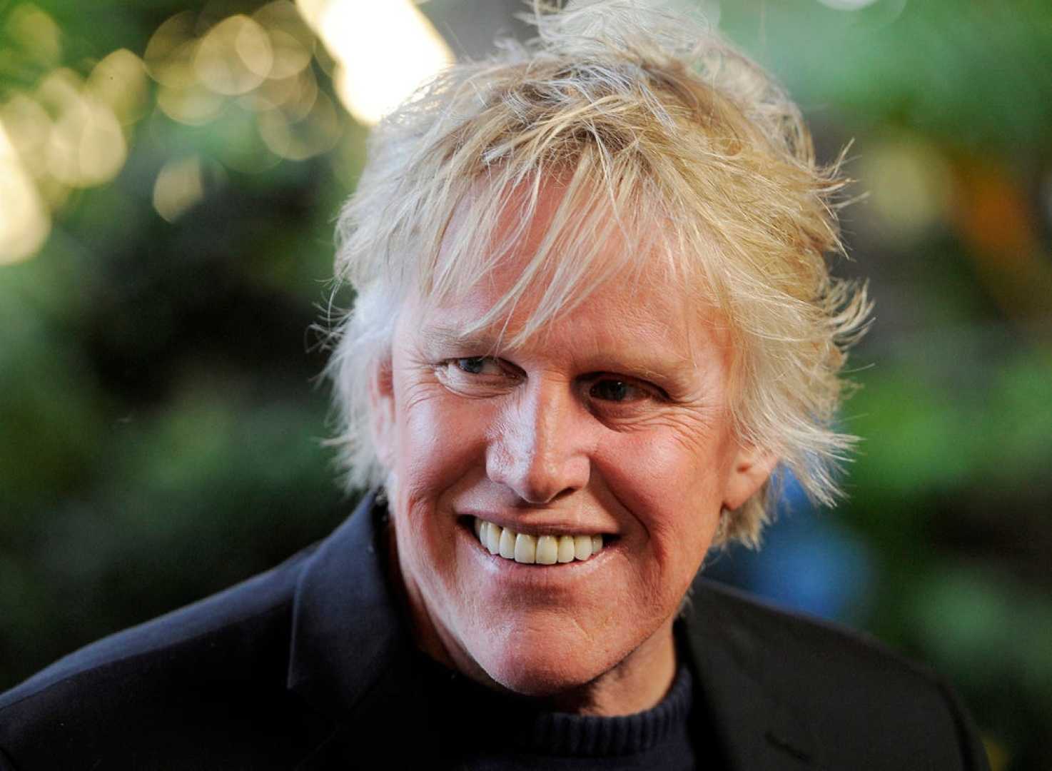 Gary Busey Sentencing New Jersey 2025
