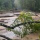 Gatlinburg Bypass Landslide News