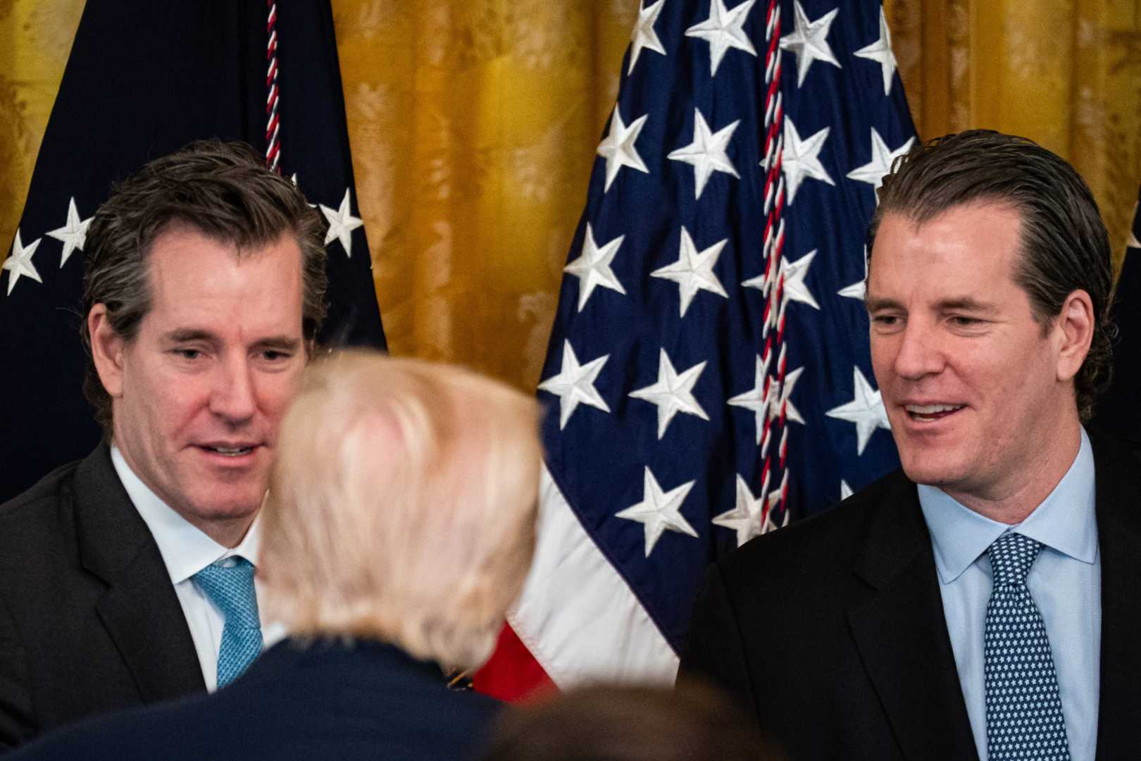Gemini Trust Co. Ipo Cameron Tyler Winklevoss