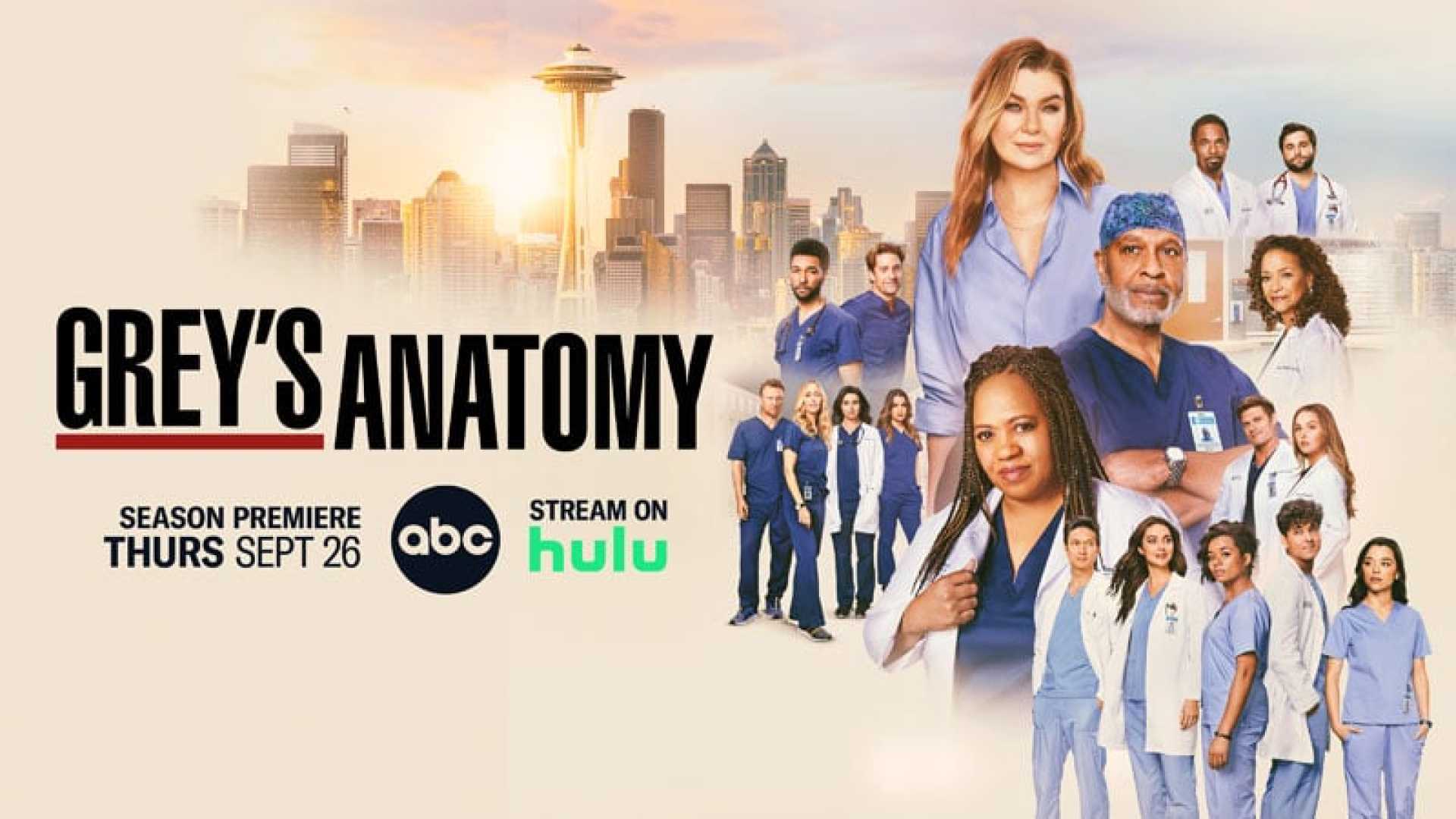 Grey's Anatomy Season 22 Cast Changes