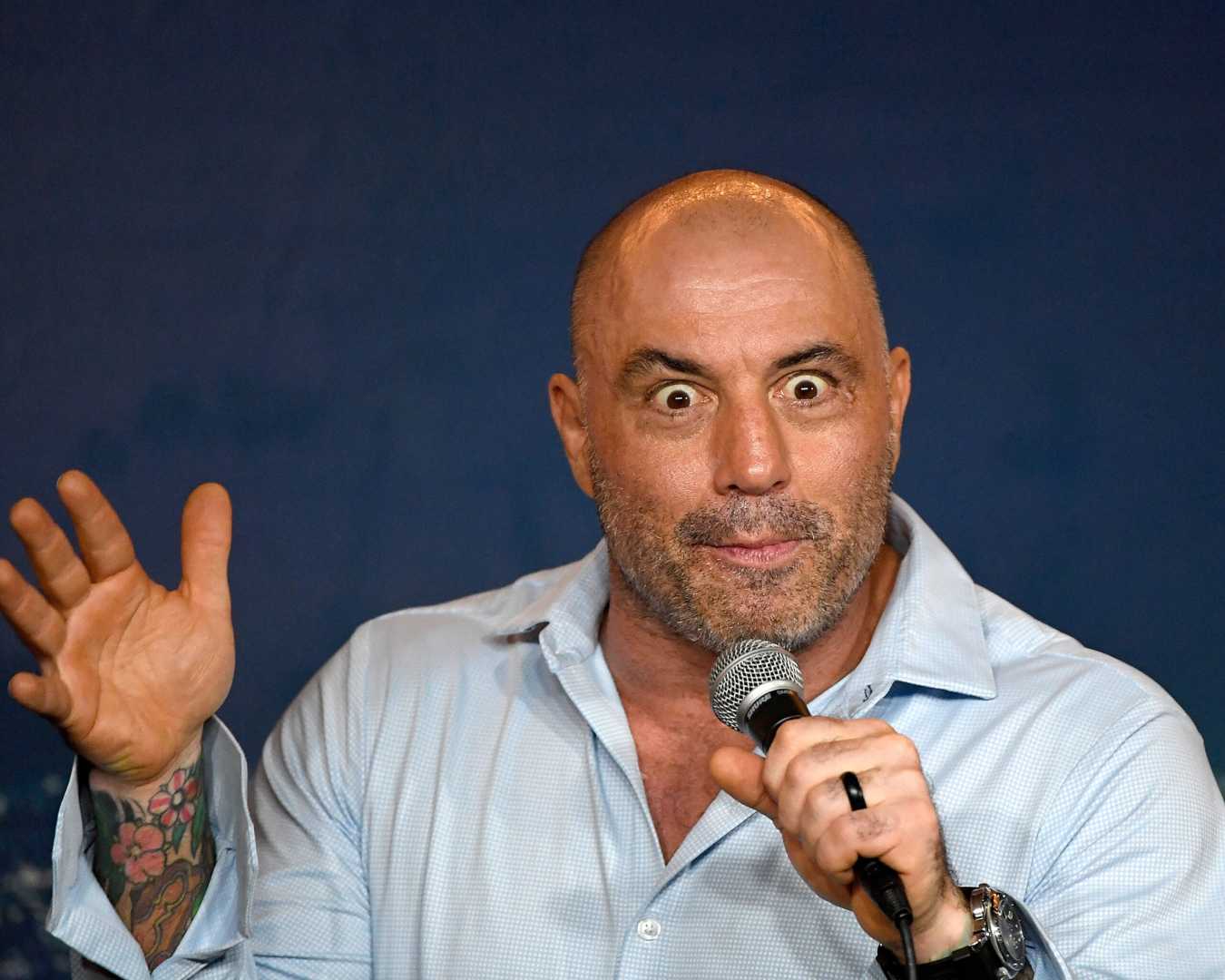 Joe Rogan Podcast Climate Change