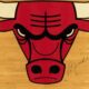 Logan Paul Michael Jordan Signed Floor Piece